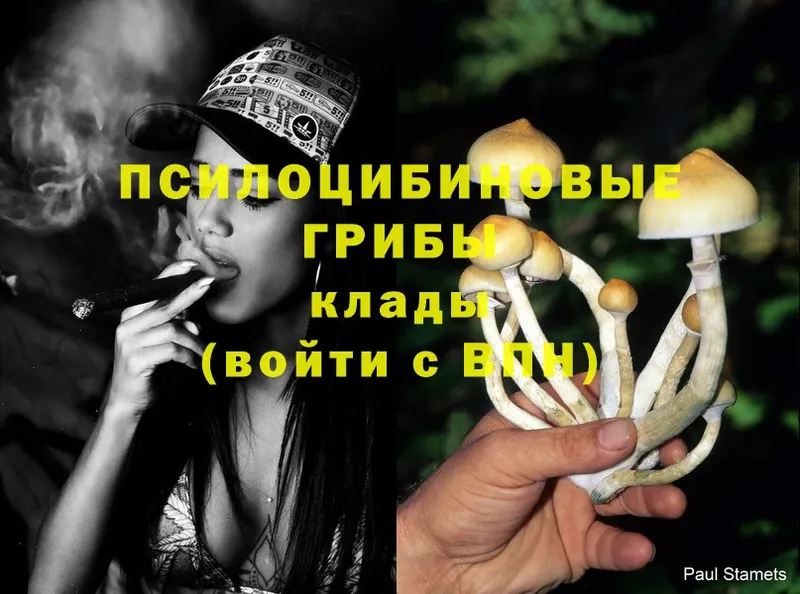 Галлюциногенные грибы MAGIC MUSHROOMS  хочу наркоту  Бирюсинск 